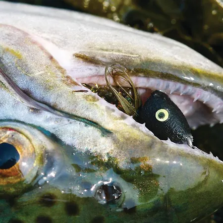 מלון Slotskro & Gaestgivergard Ved Slot Gram