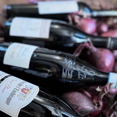 Slotskro & Gaestgivergard Ved Slot 4* Gram