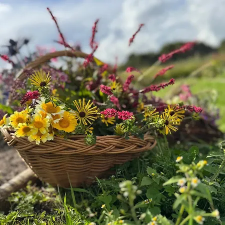 מלון Slotskro & Gaestgivergard Ved Slot